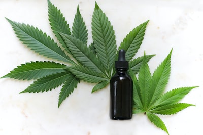 Comment utiliser efficacement les produits issus du CBD ?